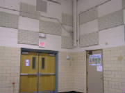 foam/Almond6.JPG