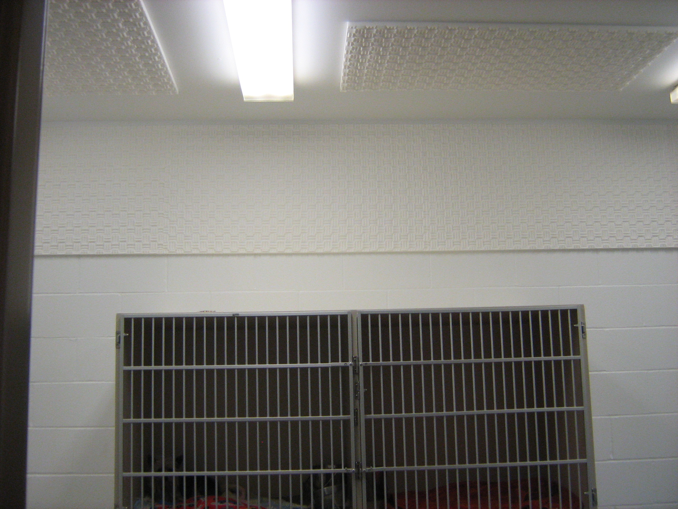 foam/FLATHEADSHELTER2.JPG