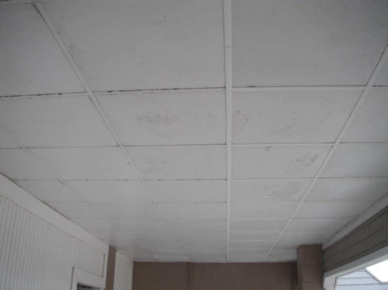 grid/nutcracker53.jpg